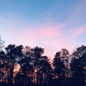 Meet your Posher, Marisol